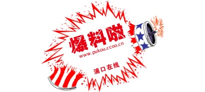 91精品国产入口